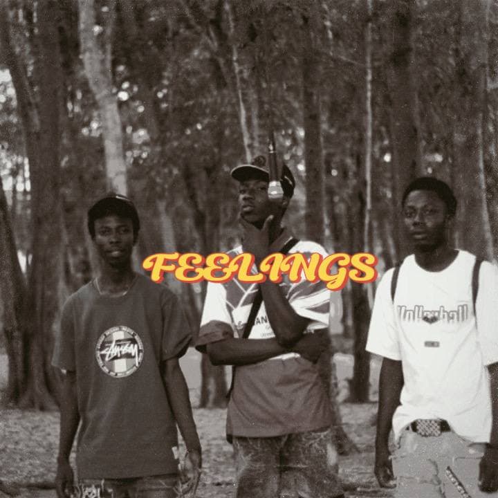 FEELINGS